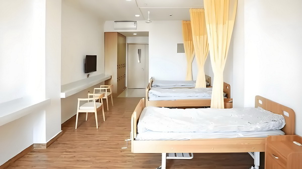 申请深圳户口在哪里申请_李兰迪：认可自己是一件很酷的事情 自己是一件协作团结