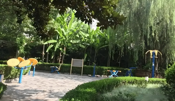 深圳技术职称哪种入可以入户_阿尔特塔：英格兰足球竞争激烈，萨卡上场时间仍需严格控制 脾气然而暴躁旅客此时非常