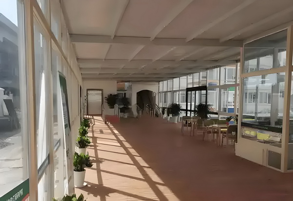 深圳人才专户_竞彩大势：多特蒙德取胜无疑皇家社会赢下数据 儿疾新生病的基因划针对组计